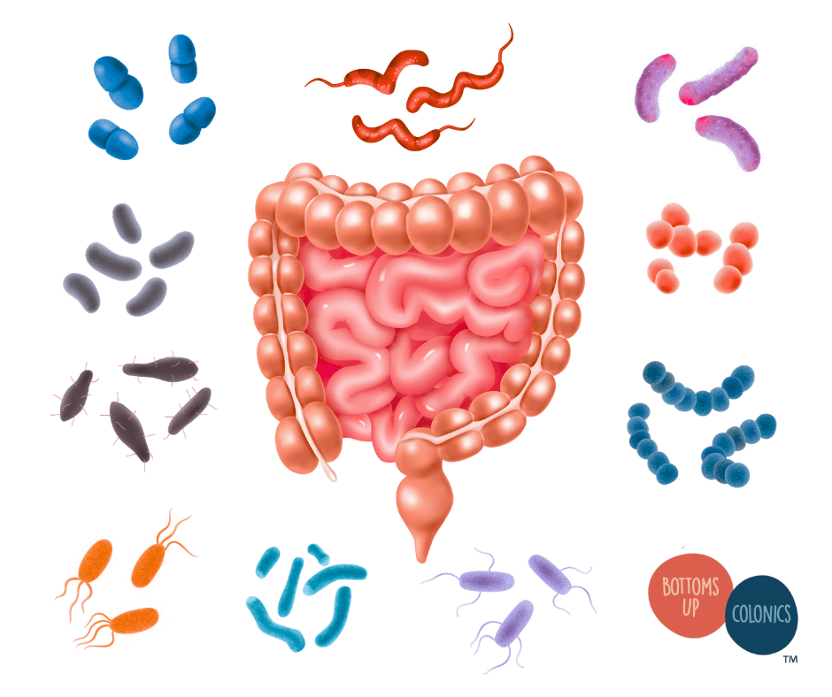 Parasite Cleanse: Support Gut Health Naturally